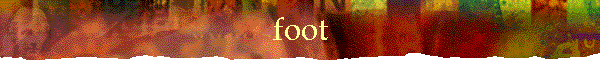 foot